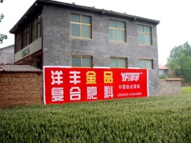 长寿如何让墙体广告展现最大化效果
