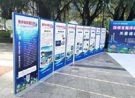 长寿KT板的种类和知识。